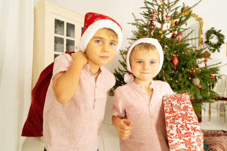 Kids celebrating christmas, two boys in Santa hats holding presentsの写真素材