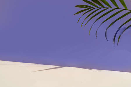Minimal modern product display on textured background in color of the year 2022 blue very peri with palm shadows overlayの写真素材