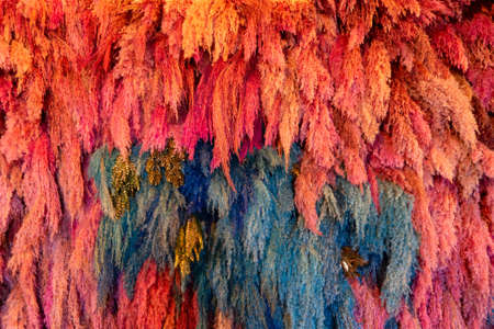 natural coloful background made of dry grass