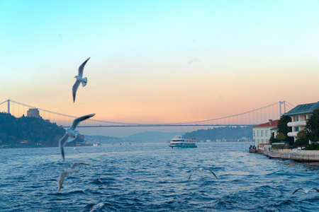Skyline of Istanbul and Bosporus waterway at sunset, Turkeyの写真素材