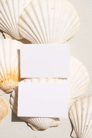 Sea shells styled stock scene, template for wedding invitations or stylish presentation with copy space on blank greeting cardsの写真素材