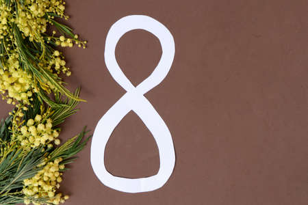 international womens day background, 8th of march, with traditional fresh mimose flowers, 8 march day background, mimose is traditional flowers for international womans day 8 of marchの写真素材