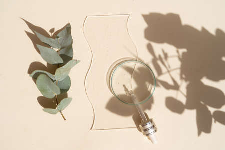 Glass petri dish with transparent pure serum with leaves shadows overlay for skin care on beige...