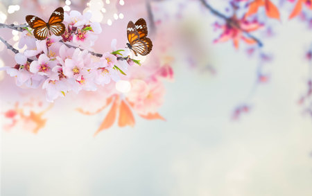 almond tree flowers on twig, butterflies, spring bloom concept, copy space on soft blue backgroundの写真素材