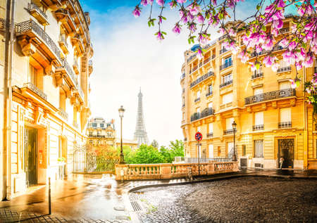 cosy Paris street with view on the famous Eiffel Tower on a cloudy spring day with flowers, Paris Franceの写真素材