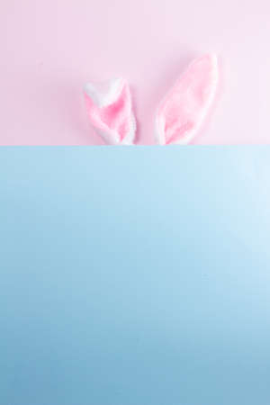 Easter rabbit flalffy ears on pink and blue background with copy spaceの写真素材
