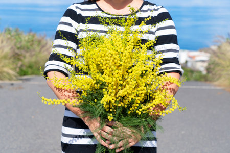 Woman holding mimosa flowers bouquet, 8 march day festive background, mimose is traditional flowers for international womans day 8 of marchの写真素材