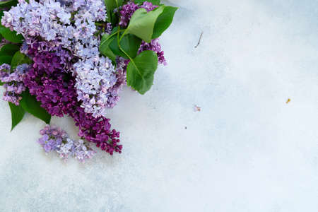 Lilac flowers over gray table background, copy spaceの写真素材