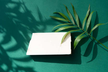 Minimal modern product display on reach green background with palm leaves and shadow overlay, top...