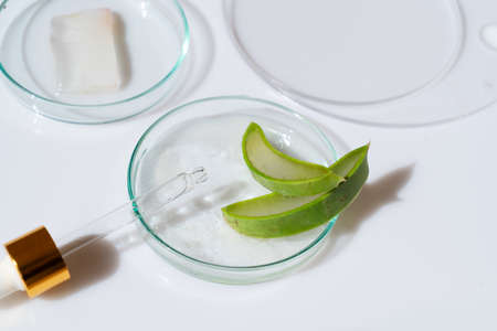 Glass petri dish with transparent pure serum for skin care with aloe vera on white background, top view. Concept laboratory tests and research, making and testing green ecological cosmeticの写真素材