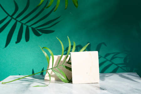 Minimal modern product display of travertine on reach green background with palm leaves and shadow...