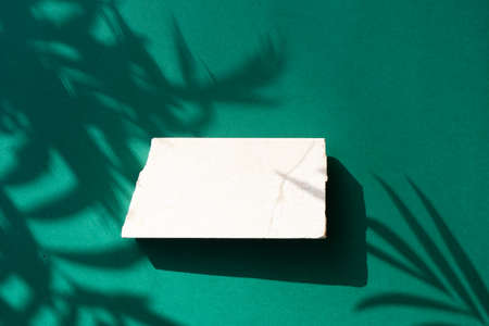Minimal modern product display on reach green background with palm leaves and shadow overlay, top...