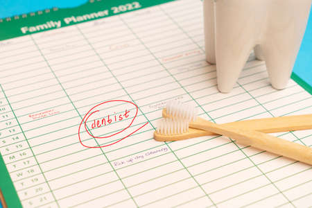 Oral care concept - tooth with toothbrushes over background with scheduled dentist visitの写真素材