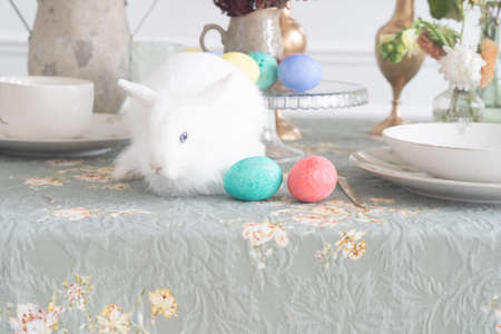 Easter scene with colored easter eggs and rabbit on the table served for festive easter eventの写真素材