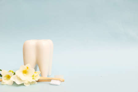 Oral care and dental heakth concept - tooth with flowers and toothbrushes over blue background