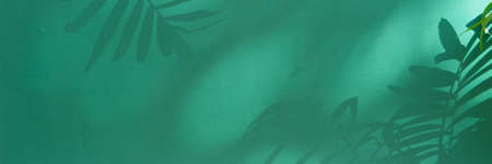 Minimal modern product display on deep green background with palm leaves shadow overlay