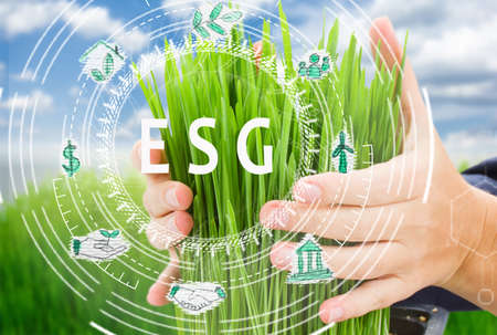 Ecology protection concept - hands holding green grass on green garden bokeh backgroundの写真素材
