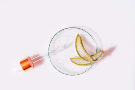 Glass petri dish with transparent pure serum for skin care with aloe vera on white background, top view. Concept laboratory tests and research, making and testing green ecological cosmeticの写真素材