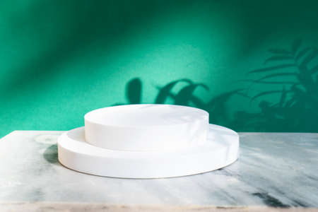 Minimal modern product display on deep green background with palm leaves and shadow overlay, top viewの写真素材