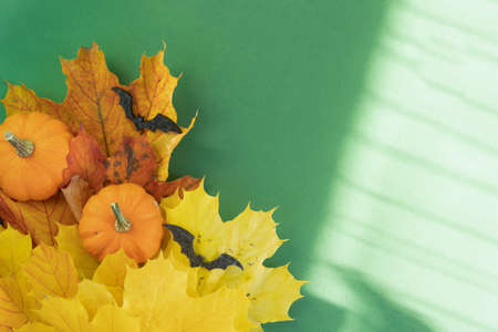 Pumpkins with bright leaves and halloween bats over green background, border with copy space and shadow overlayの写真素材