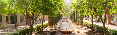 Garden in old town of Palma de Majorca capital of Majorca, Spain, Balearic islands, web bannerの写真素材