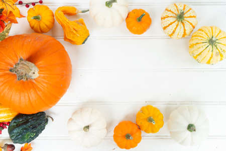 White and orange pumpkins with fall leaves, frame on white wooden background, top view