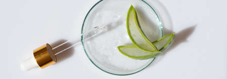 Glass petri dish with transparent pure serum for skin care with aloe vera on white background, top view. Concept laboratory tests and research, making and testing green ecological cosmeticの写真素材