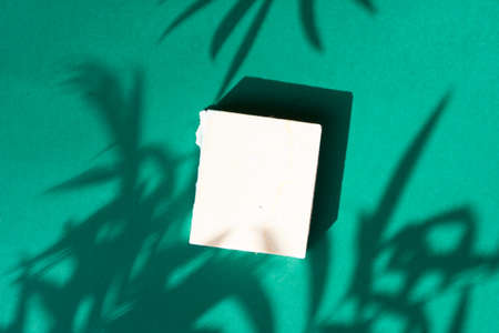 Minimal modern product display on reach green background with palm leaves and shadow overlay, top...