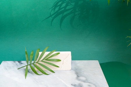 Minimal modern product display of travertine marble stone on reach green background with palm leaves...