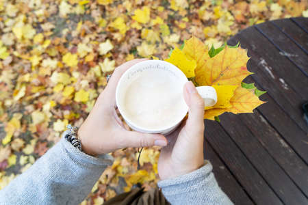Autumn lifestyle with woman hands close upの写真素材