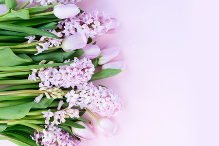 Easter scene with fresh tulips and hyacinth flowers border over pink backgroundの写真素材