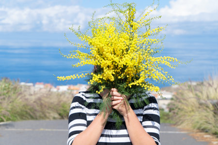 Woman holding mimosa flowers bouquet, 8 march day festive background, mimose is traditional flowers for international womans day 8 of marchの写真素材