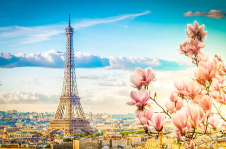 famous Eiffel Tower and Paris roofs with spring tree, Paris Franceの写真素材