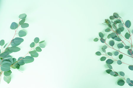 wedding or mothers day backgroundgreen eucaliptus leaves over mint green background with copy spaceの写真素材