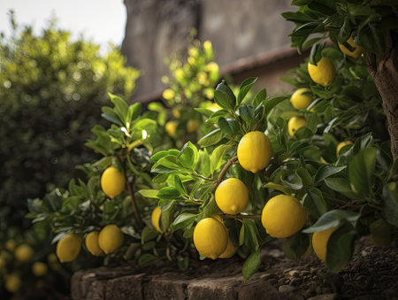 Lemon garden with fruits, ai generativeの素材