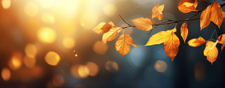 Autumn background with leaves, sunlight in background