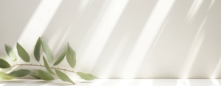 leafe over wall with shadows overlayの写真素材