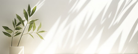 leafe over wall with shadows overlayの写真素材