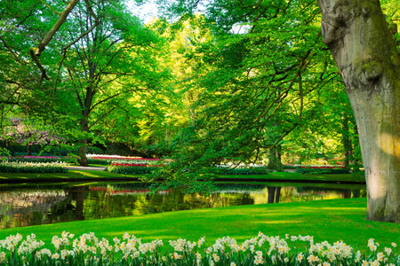 fresh spring garden with green trees, fresh soft grass and riverの写真素材