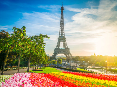 Eiffel Tower from Trocadero at sunrise, Paris, Franceの写真素材