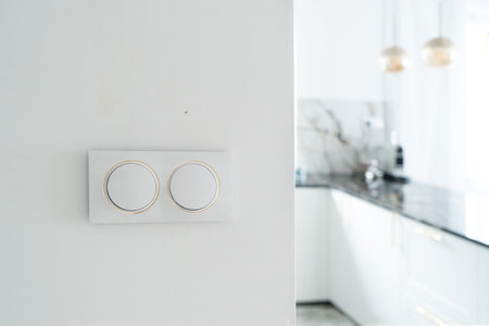 double electric light switch on white concrete wall,の写真素材