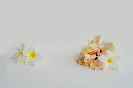 Minimal modern product display on neutral background with wooden podium, tropical flowersの写真素材