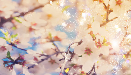 almond tree bloom, close up spring of almond tree twigs on blue sky background, toned bannerの写真素材