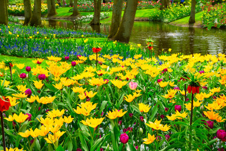 fresh spring garden with green trees, fresh grass reflecting in pond, retro tonedの写真素材
