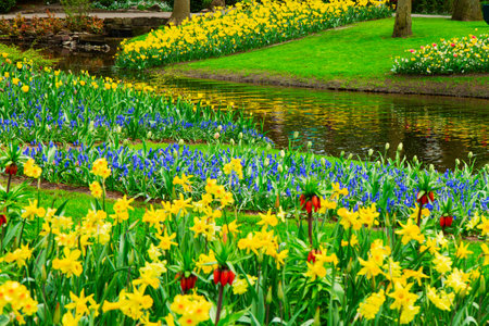 fresh spring garden with green trees, fresh grass reflecting in pondの写真素材