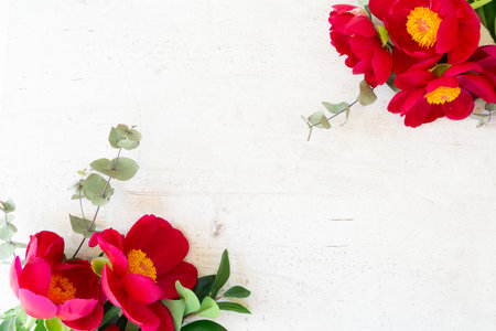 Fresh red peony flowers on white wooden background with copy spaceの写真素材
