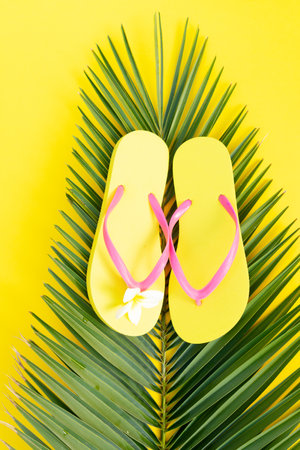Summer flat lay border with palm leaf and flip-flops sandals on yellow backgroundの写真素材
