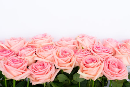 Rose fresh flowers border on light table from above with copy space, top view sceneの写真素材