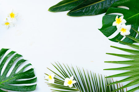 Summer flat lay frame with fresh tropical leaves and flowers frame on gray wooden background with copy spaceの写真素材