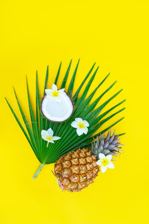 Summer flat lay frame with summer friuts on palm leafの写真素材